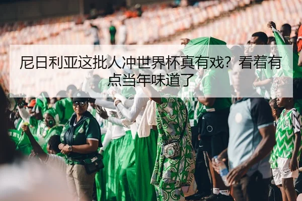 ni-ri-li-ya-zhe-pi-ren-chong-shi-jie-bei-zhen-you-xi-kan-zhe-you-dian-dang-nian-wei-dao-le-2-354.jpg
