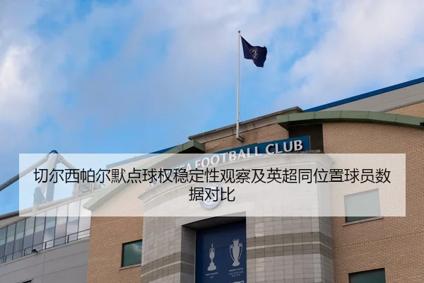 切尔西帕尔默点球权稳定性观察及英超同位置球员数据对比