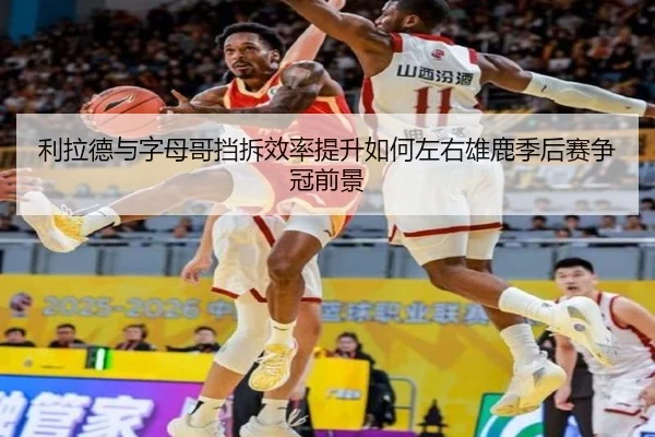 li-la-de-yu-zi-mu-ge-dang-chai-xiao-lv-ti-sheng-ru-he-zuo-you-xiong-lu-ji-hou-sai-zheng-guan-qian-jing-2-230.jpg
