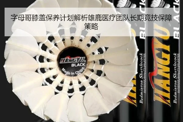 字母哥膝盖保养计划解析雄鹿医疗团队长期竞技保障策略
